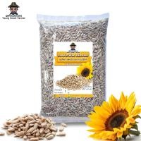ราคา เมล็ดทานตะวันดิบ กะเทาะเปลือก 1 kg Sunflower Kernels (23825901983)