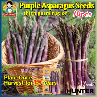 ราคา เมล็ดพันธุ์ หน่อไม้ฝรั่ง สีม่วง เมล็ดหน่อไม้ฝรั่งสีม่วง 10เมล็ด แพ็ค Purple Asparagus Seeds Organic Vegetables Seeds for Planting ของแท้100 ปลูกง่าย อัตรางอกสูง เมล็ดพันธุ์ผัก F1 ผักออร์แกนิก เมล็ดบอน