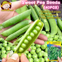 ราคา 40เมล็ด แพ็ค เมล็ดพันธุ์ ถั่วหวาน ถั่วลันเตาหวาน Sugar Daddy Snap Pea Seed Sweet Pea Vegetable Seeds เมล็ดถั่วหวาน F1 เมล็ดพันธุ์ผัก คุณภาพดี ราคาถูก ของแท้ 100 ปลูกง่าย เมล็ดผักสวนครัว ผักสวนครัว ผัก