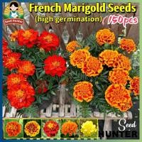 ราคา เมล็ดพันธุ์ ดอกดาวเรืองคละสี เมล็ดดาวเรืองฝรั่งเศส Mixed French Marigold Flower Seed 150เมล็ด แพ็ค ของแท้100 ปลูกง่าย อัตรางอกสูง เมล็ดดอกไม้ เมล็ดบอนสี ต้นไม้มงคล บอนสี ดอกไม้ปลูกสวยๆ เมล็ดพันธุ์ดอกไ