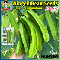 ราคา เมล็ดพันธุ์ ถั่วพูยักษ์ถั่วพูยาว เมล็ดถั่วพู Giant Winged Bean Seed Organic Vegetable Seeds for Planting 10เมล็ด แพ็ค ของแท้ 100 ปลูกง่าย อัตรางอกสูง เมล็ดพันธุ์ผัก เมล็ดผักสวนครัว ผักสวนครัว เมล็ดพัน
