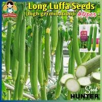 ราคา เมล็ดพันธุ์ บวบหอมยาว เมล็ดบวบหอมยาว Long Luffa Seed 40เมล็ด แพ็ค ของแท้100 ปลูกง่าย อัตรางอกสูง Organic Vegetable Seeds for Planting Loofah Sponge เมล็ดพันธุ์ผัก ผักออร์แกนิก เมล็ดพันธุ์ใยบวบยาว เมล็