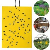 ราคา Pocainoe ที่ดักแมลง กาวดักแมลงวัน สองด้าน แผ่นกาวดักแมลง 50 100 200 500แผ่น กับดักแมลงกินผัก เหนียวกับดักแ ดักแมลงศัตรูพืช กับดักแมลงวัน กาวดักแมลง (24391480535)