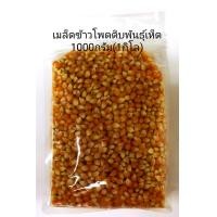 ราคา ข้าวโพดpopcornพันธ์ุเห็ด mushroomขนาด1000 กรัม (2526730497)