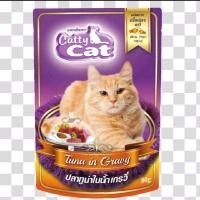 ราคา อาหารแมว เปียกแมว อาหารเปียกแมว Catty cat ขนาด 80g แบบ 12 ซอง (24472996954)