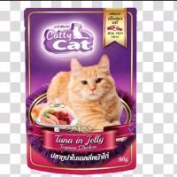 ราคา อาหารแมว เปียกแมว อาหารเปียกแมว Catty cat ขนาด 80g แบบ 12 ซอง (24472996955)