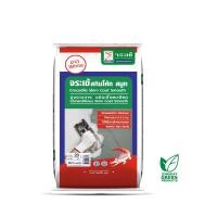 ราคา จระเข้ สกิมโค้ท สมูท ซีเมนต์แต่งผิวบาง ชนิดเนื้อละเอียด ขนาด 5 กก (23843018776)