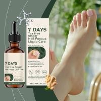 ราคา 7 วัน Ginger Nail Care Serum ซ่อมแซมเล็บที่เสียหาย Essence สำหรับการปอกเปลือกเปราะแตกเล็บบาง ๆ (24541436840)