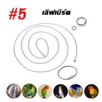 ราคา โซ่คล้องห่วงขานกแก้ว 100cm โซ่ขานกสแตนเลส ห่วงเปิดนก พร้อมห่วงล็อค สายเกาะคอนนกแก้ว ฟอพัส เลิฟเบิร์ด ซันคอนัวร์ (23226448741)