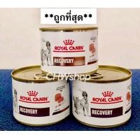 ราคา Royal Canin Recovery 195g แพ็ค1 3กระป๋อง อาหารพักฟื้น สัตว์ป่วย (19328553681)