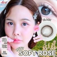 ราคา คอนแทคเลนส์ Limited ขนาดมินิ Mini Soft Rose Luxzylens Brown Gray Black (24333970105)