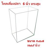ราคา โหลปลากัด ขนาด 4x6x8 นิ้ว แนวตั้ง กระจกหนา 3 มิน (23025640020)