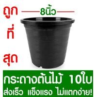 ราคา กระถางต้นไม้ กระถางพลาสติก ขนาด 8 นิ้ว 10ใบ กระถางกลม กระถางต้นไม้พลาสติก กระถางปลูกต้นไม้ กระถางดำ กระถางพลาสติกดำ Flower pot (2069558037)