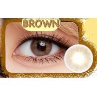ราคา คอนแทคเลนส์ ขนาดมินิ Mini Ava Kitty kawaii Brown Gray Violet (23813026370)