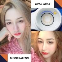 ราคา คอนแทคเลนส์ ขนาดบิ๊กอาย Brown Gray Opal Montra (22359865144)