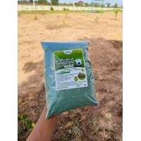 ราคา เมล็ดหญ้าเบอร์มิวด้า พาสพาลัม นวลน้อย เทียบ 100 กรัม 500000เมล็ด (21399590469)