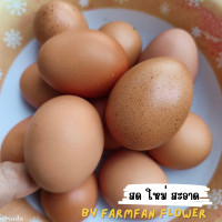 ราคา ไข่ไก่อารมณ์ดี เลี้ยงออแกนิก เบอร์ 5 30ฟอง สดๆจากฟาร์ม เก็บสดใหม่ทุกวัน รับประกันแตกทางร้านเคลมให้ทันที (24201689316)