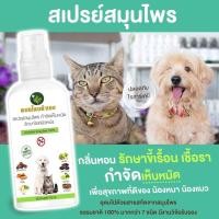 ราคา หมอไทยทำเอง สเปรย์ บำรุงผิวและขน โรคผิวหนัง เห็บหมัด ขี้เรื้อนสุนัข แมว คันเกา (22052190761)