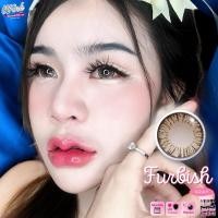 ราคา คอนแทคเลนส์ มีค่าสายตา Bigeye Furbish Brown Winkwow (24339945722)