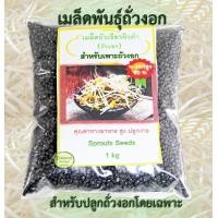 ราคา เมล็ดถั่วงอก ถั่วเขียวผิวดำ ถั่วแขก สำหรับปลูกถั่วงอกโดยเฉพาะ เมล็ดพันธ์ุเพาะถั่วงอก Bean Sprouts seeds 1 กิโลกรัม (410601133)