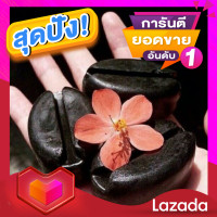 ราคา 10 ก้อน สบู่สครับกาแฟขมิ้นมะขามน้ำผึ้ง ฟื้นฟูผิวจากการถูกแสงแดดทำลายผิวกระจ่างใส (9901031248)