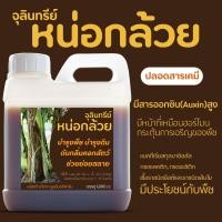 ราคา จุลินทรีย์หน่อกล้วย ขนาด 1 ลิตร สูตรเข้มข้น บำรุงพืชผักทุกชนิดเป็นฮอร์โมนในตัวรวมทั้งจุลินทรีย์หลายชนิดที่พืชต้องการ (24347795374)