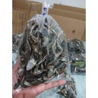 ราคา เขียด นา ตาก แห้ง ถุง 100 กรัม (24440417426)