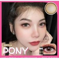 ราคา คอนแทคเลนส์ โพนี่ Pony Gray Brown ลายยอดฮิต (23967040979)