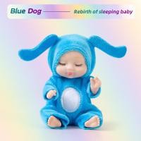 ราคา Sleep Simulation Rebirth Doll Girl Princess Sleep Childrens Toy Gift Box bjd Mini Doll (24320056639)