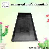 ราคา ถาดเพาะต้นกล้า ต้นอ่อน ถาดเพาะแบบมีรู แบบทึบ ถาดเพาะต้นอ่อนทานตะวัน ถาดเพาะกล้า ถาดเพาะชำ ถาดเพาะต้นกล้า ถาดเพาะเมล็ด (19460648556)