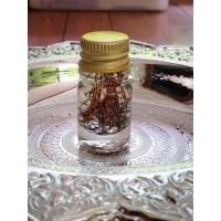 ราคา เครือสาวหลง รวมตัวผู้เมียในน้ำมันจันทร์ เครือเขาหลง เถาร์วัลหลง เส้นผมนางไม้ เครื่องรางของขลัง สายเมตตามหานิยม (19434748651)