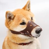 ราคา Aimayapet หน้ากากสัตว์เลี้ยง ที่ครอบปากหมา ปากกระบอกปืนสุนัขหนัง ตะกร้อครอบปากหมา ตะกร้อครอบปาก ระบายอากาศได้ดีและนุ่มนวล ปรับได้ (23022443874)
