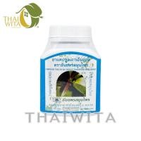 ราคา แคปซูลเถาเอ็นอ่อน ธันยพรสมุนไพร ของแท้ (16425899348)