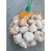 ราคา กระเทียมจีนตัดจุก 1 กก (703108251)