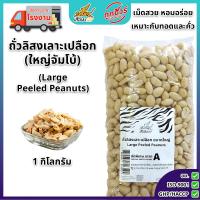 ราคา ถั่วลิสงเลาะเปลือก ขนาดใหญ่ 1 กก ตราเสือบิน ถั่วลิสงดิบ จัมโบ้ เม็ดใหญ่ คัดพิเศษ เกรด A สำหรับทำถั่วทอด ถั่วคั่ว Large Peeled Peanuts (24527839088)