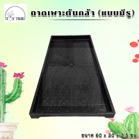 ราคา ถาดเพาะต้นกล้า ต้นอ่อน ถาดเพาะแบบมีรู แบบทึบ ถาดเพาะต้นอ่อนทานตะวัน ถาดเพาะกล้า ถาดเพาะชำ ถาดเพาะต้นกล้า ถาดเพาะเมล็ด (19460648555)