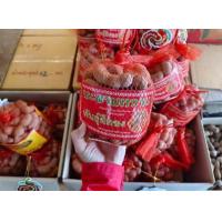 ราคา มะขามหวานสีทอง จ เพชรบูรณ์ ห่อใส่ถุงตาข่ายสวย หวาน หอม อร่อย 1 ถุง 500 800 900 กก (24340692768)