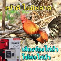 ราคา เสียงต่อไก่ป่า ใช้งานได้ผลดี ไก่ป่าไม่ระแวง เมมการ์ด บันทึกเสียงร้องไก่ (17339911374)