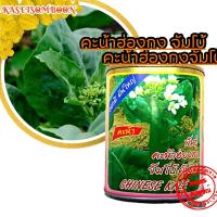 ราคา เมล็ดผักคะน้าฮ่องกง พันธุ์ จัมโบ้ 100ก ลำต้นใหญ่ ยอดอวบ มีน้ำหนักดี รสหวานกรอบ (15647531764)