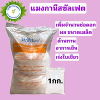 ราคา แมงกานีสซัลเฟต 32 Manganese Sulfate บำรุงใบ บรรจุ 1 กิโลกรัม (17904726136)