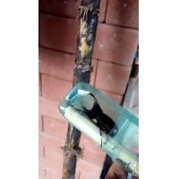 ราคา ด้วง กว่างโซ้ง กว่าง ตัวผู้ Lanna Beetle เขาสวยงาม ด้วงกว่าง ตัวละ 99 บาท กว่างผู้ ด้วง ผู้ ส่งพร้อมอาหารอ้อยทีตัดแล้ว (24415962170)