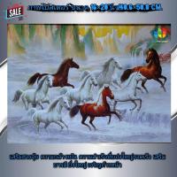 ราคา ภาพโปสเตอร์ ม้าแปดตัวตัวกำลังวิ่งไต่น้ำตก ไปทางขวา ภาพมงคล เสริมฮวงจุ้ย (6901514326)