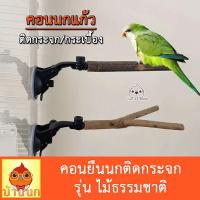 ราคา คอนนก รุ่นไม้ธรรมชาติ ยาว 15 20 25cm คอนนกติดกระจก คอนนกติดกระเบื้อง คอนนกพกพา คอนยืนนก นกแก้ว คอนลับเล็บ คอนในห้องน้ำ คอนนกติดรถ (22039723210)