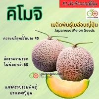 ราคา เมล่อน คิโมจิ Japan Melon Kimoji 10 เมล็ด แหล่งผลิต ประเทศญี่ปุ่น เปอร์เซนต์การงอก 80 90 (1363228421)