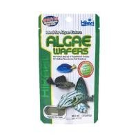 ราคา ล๊อตใหม่ Hikari Tropical Algae Wafers อาหารปลา ซัคเกอร์ ปลาแพะ ปลาหมู (16079225258)
