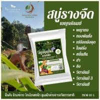 ราคา สบู่รางจืด สบู่สมุนไพร สำหรับ ผิวหนัง ผื่น คัน เหงื่อ กลาก พญายอ ทองพันชั่ง เบญจภิรมย์ Laurel Clock Vine Herbal Soap (23933476622)