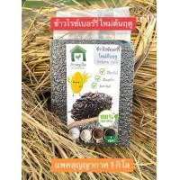 ราคา พร้อมส่ง ข้าวไรซ์เบอร์รี่ใหม่ต้นฤดู ข้าวอินทรีย์สุรินทร์แท้ 100 (23192188678)