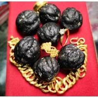 ราคา ลูกกัลปังหาดำ ลูกกัลปังหา (22967972574)