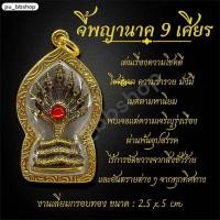 ราคา จี้พญานาค 9 เศียร งานเลี่ยมกรอบทอง ขนาด 2 5 5 cm (24442793607)