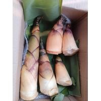 ราคา หน่อไม้หวาน อินทรีย์ 1 กิโล เก็บๆจากสวน ใช้ แกง ต้มจืด สับทำหน่อส้ม หน่อไม้ดอง หรือ ต้มเอาไว้ (21498929914)